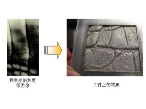 鳄鱼纹理效果